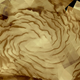 Image for article titled This Is The Incredibly Swirling North Polar Ice Cap Of Mars